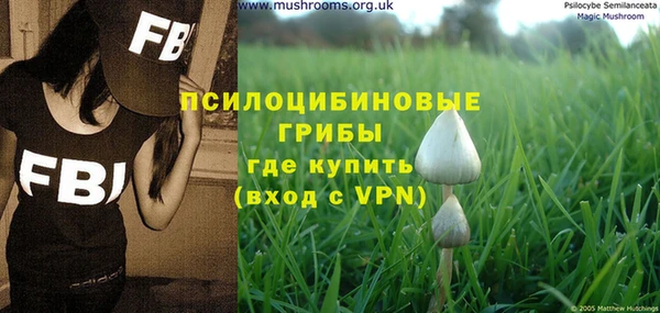 спайс Алексеевка