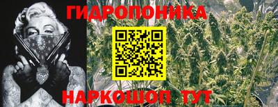 стафф Боровичи