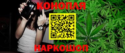 стафф Брянск