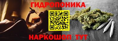 стафф Боровичи