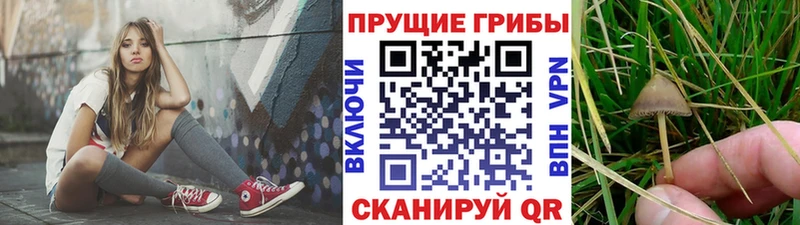 Галлюциногенные грибы MAGIC MUSHROOMS  Асино 