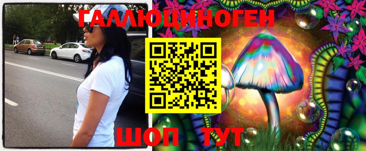Псилоцибиновые грибы Magic Shrooms  Вход с VPN  Асино  Псилоцибиновые грибы Cubensis 