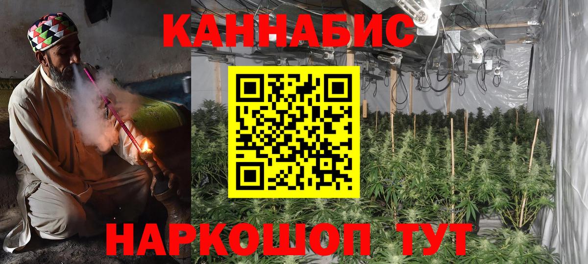 Бошки марихуана планчик Асино
